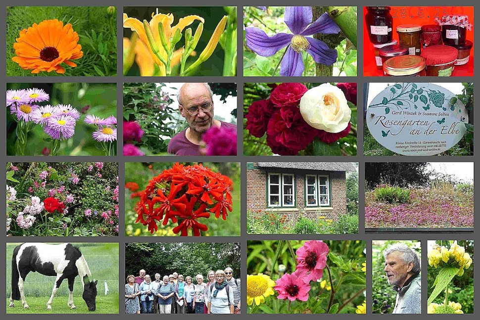 Weitere Impressionen aus dem Rosengarten